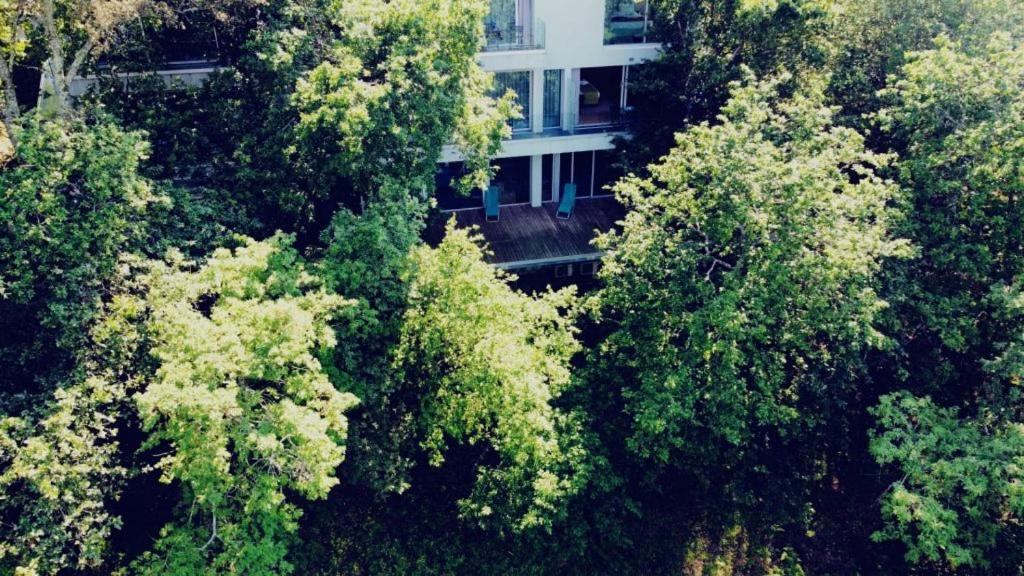 Oak Nature Vieira do Minho Exterior photo